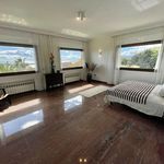 Alquilo 6 dormitorio casa de 500 m² en Costabella