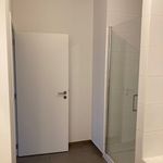 Rent 2 bedroom apartment of 110 m² in Mol