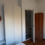 Rent 5 bedroom house in Bologna