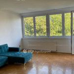 Rent 1 bedroom apartment of 57 m² in Budapest