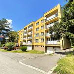 Rent 1 bedroom apartment of 36 m² in Ostrava
