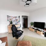 Rent 2 bedroom apartment of 69 m² in Neunkirchen-Seelscheid