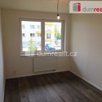 Rent 3 bedroom apartment of 75 m² in Milovice