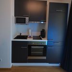 Modernly and attractively furnished serviced apartment near airport