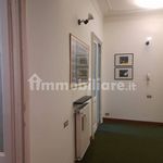 Rent 2 bedroom apartment of 38 m² in Genoa