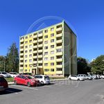 Rent 1 bedroom apartment of 24 m² in Chodov