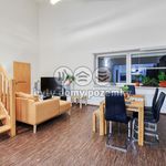 Rent 4 bedroom apartment of 118 m² in Plzeň