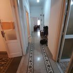 Rent 1 bedroom apartment of 140 m² in La Spezia