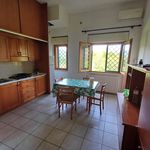 Rent 2 bedroom apartment of 50 m² in Cervaro