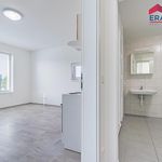 Rent 1 bedroom apartment of 30 m² in Prostějov