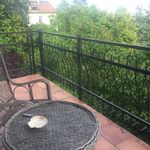 Rent 1 bedroom apartment of 137 m² in Budapest