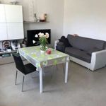 Affitto 3 camera appartamento di 80 m² in Padenghe sul Garda