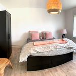 Huur 3 slaapkamer huis van 190 m² in Beernem