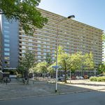 Rent 4 bedroom apartment of 94 m² in Delft