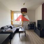 Rent 2 bedroom apartment of 5234 m² in Mazamet