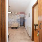 Rent 3 bedroom apartment of 76 m² in Caltagirone