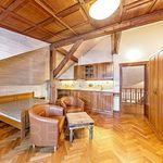 Rent 13 bedroom house of 490 m² in Praha