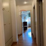 Rent 5 bedroom apartment of 140 m² in Reggio Emilia