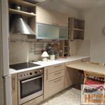 Rent 1 bedroom apartment of 50 m² in Athens