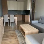 Rent 2 bedroom apartment of 49 m² in Poznan
