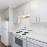 Rent 1 bedroom apartment of 42 m² in Calgary