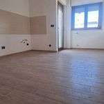 Rent 1 bedroom apartment of 55 m² in Aprilia