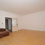 Rent 1 bedroom house of 220 m² in Plzeň