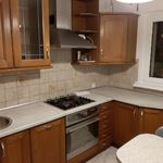 Rent 1 bedroom apartment of 63 m² in Leszno