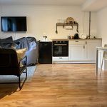 Cozy 1-room apartment