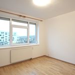 Rent 3 bedroom apartment of 63 m² in Roztoky