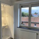 Rent 4 bedroom house in Turnhout
