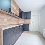 Rent 1 bedroom apartment of 49 m² in Liège