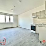 Rent 1 bedroom apartment in Znojmo