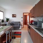 Affitto 1 camera appartamento di 65 m² in San Biagio di Callalta