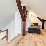 Rent 1 bedroom apartment of 67 m² in Prague