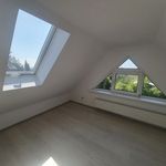 Rent 4 bedroom house of 245 m² in Szczecin