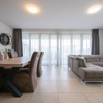 Rent 3 bedroom apartment of 107 m² in Schelle