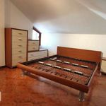 Rent 3 bedroom apartment of 91 m² in Roma
