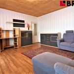 Rent 4 bedroom apartment of 76 m² in Brno