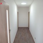 Rent 1 bedroom apartment of 94 m² in Šestajovice