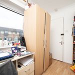 Rent 4 bedroom apartment in London