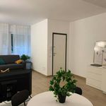 Affitto 1 camera appartamento di 35 m² in Udine