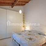 Rent 3 bedroom house of 70 m² in Pisa