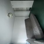 Rent 1 bedroom apartment of 24 m² in Lyon