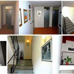 Rent 3 bedroom apartment of 60 m² in Varese