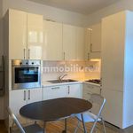 Rent 2 bedroom apartment of 40 m² in Saluzzo