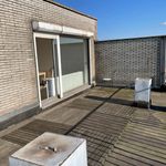 Rent 1 bedroom apartment of 40 m² in Charleroi