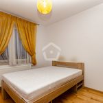 Rent 2 bedroom apartment of 51 m² in Rzeszów