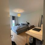 Rent 2 bedroom apartment in Maastricht