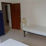 Affitto 3 camera appartamento di 93 m² in Falconara Marittima
